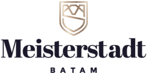 logo-meisterstadt